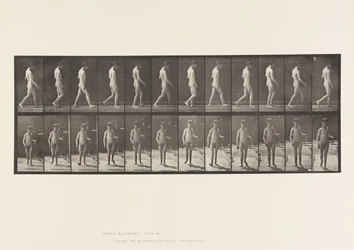 Placa 551. Epilepsia; Caminando, 1885