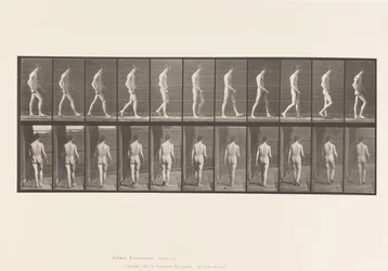 Placa 554. Ataxia Locomotora; Caminando, 1885
