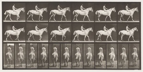 Placa 581. Caminando; a pelo; jinete, 43, desnudo; caballo gris claro Smith, 1885