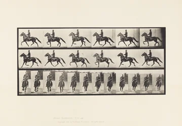 Placa 593. Paso de Andar; Silla; Caballo Marrón Pronto