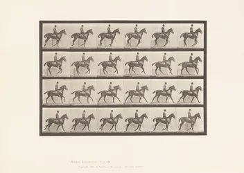 Placa 616. Medio Galope; Silla; Caballo Alazán Daisy