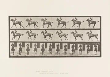 Placa 621. Medio Galope; Silla; Yegua Alazana Pura Sangre Annie 6