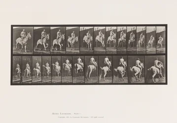 Plato 646. Saltando una valla; Silla de montar; Jinete, 105, Desnudo;, 1885