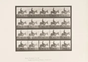 Placa 666. Asno; Caminando; Silla; Una Niña Montando, Zoológico