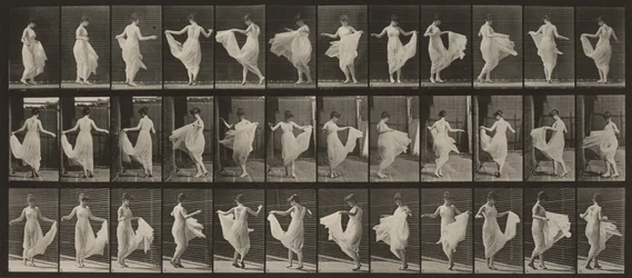 Lámina número 192. Baile (elegante)