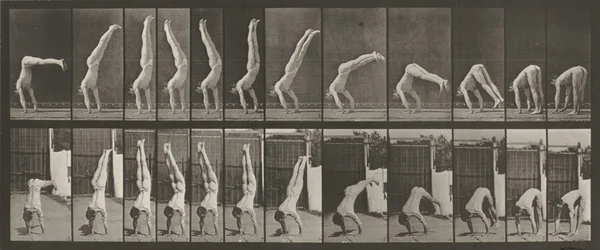 Placa número 371. Acrobat, vertical "press up",1887 (foto)