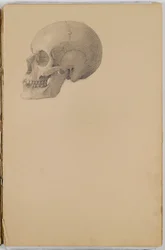Cuaderno de Bocetos de Anatomía, 1849