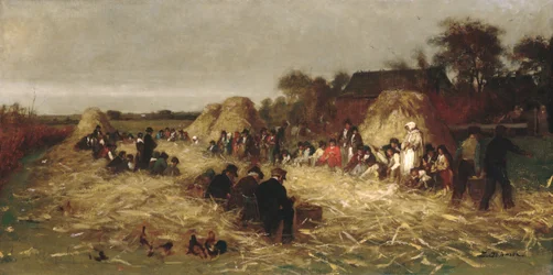 Deshojando maíz en Nantucket, ca. 1875