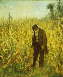Hombre en un campo de maíz