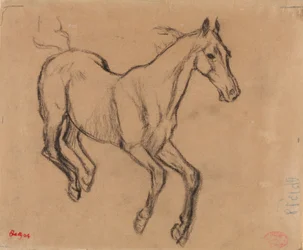 Caballo al galope