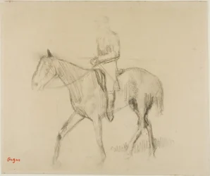 Caballo y jinete