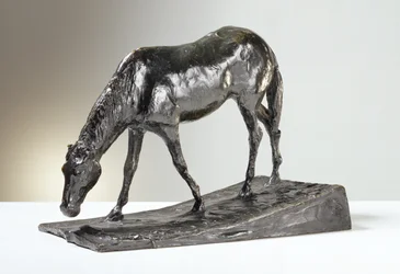 Caballo en el abrevadero