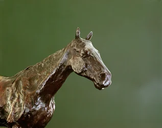 Cabeza de caballo (detalle)