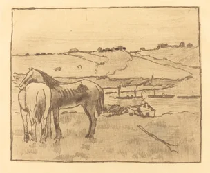 Caballos en el prado