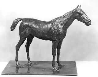 Caballo de pie
