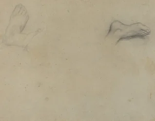 Estudios de pies [verso]