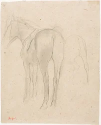 Estudios de un caballo