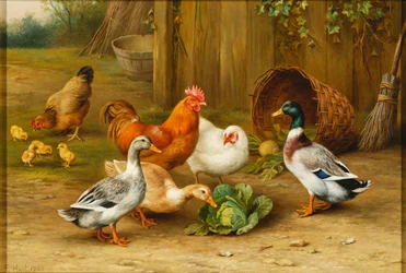 Patos y gallinas en un patio