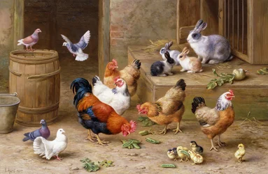 Amigos de la granja