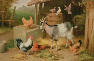 Escena de granja