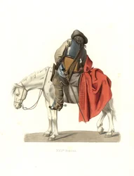 Caballería francesa
