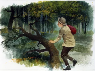 Literatura infantil : de los Apeninos a los Andes. Un niño solo en el bosque (dibujo)