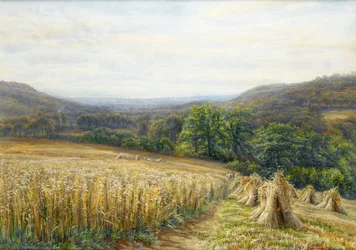 Tiempo de cosecha cerca de Ashburton, 1884