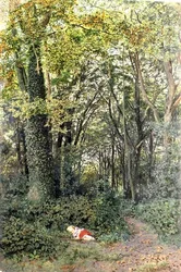 Perdido en el bosque
