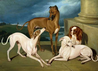 Whippets y un King Spaniel, 1837