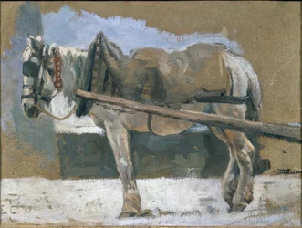 Caballo enjaezado
