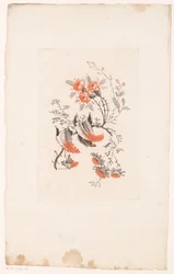 Diversos tipos de fantasía
Fleurs Idéalle (título de la serie)