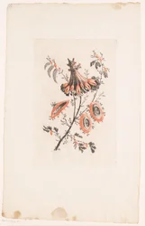 Flores del parasol
Fleurs Idéalle (título de la serie)