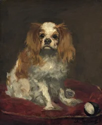 Un spaniel King Charles, c. 1866