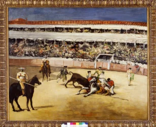 Combate de toros