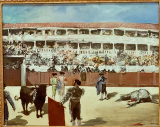 Combate de toros
