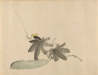 Pepino con hojas