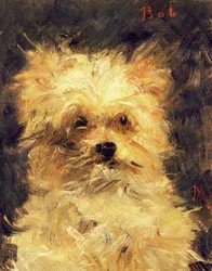 Cabeza de un perro - Bob, 1876