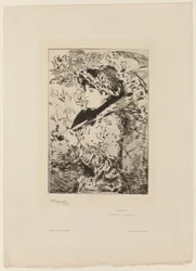 Jeanne (Primavera)