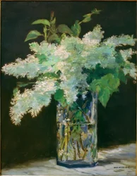 Jarrón de flores, lilas blancas