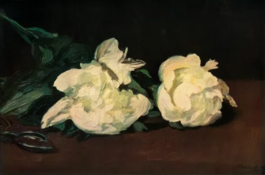 Peonías Blancas, 1864, 1937