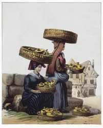 Comerciantes de setas