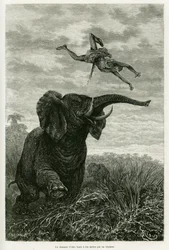 El cazador de Aley lanza una milla desde un elefante. Ilustración de la historia Les lacs de l