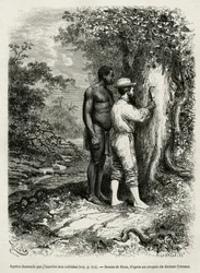 Apatou, guía y compañero de viaje, pide al explorador y autor que grabe sus iniciales en la corteza de un árbol. Grabado de Riou para ilustrar el relato Cayenne aux Andes, de Jules Crevaux, médico de la marina francesa, en 1878-1879, publicado en Le Tour