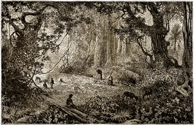 Instalación de un campamento de exploradores en Guatemala (1882)