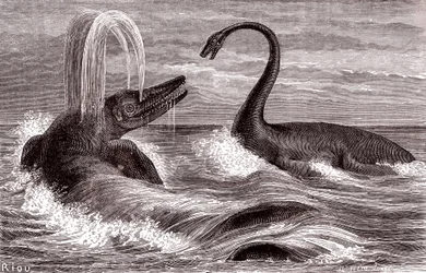 El Ichtyosaurus y el Plesiosaurus