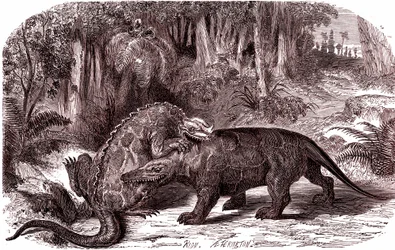 El Iguanodonte y el Megalosaurio (grabado)