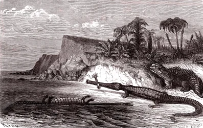 El Teleosaurus y el Hyleosaurus