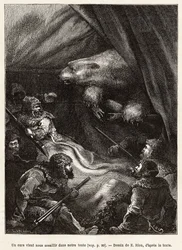 La tripulación del barco La Germania, descendida sobre el hielo para una partida de caza, montó una tienda para acampar, que es visitada por un oso polar mientras los hombres estaban aprensivos para acostarse, grabado después del dibujo de E.Riou, ilustran