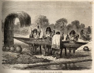 La fabricación de aceite de huevo de tortuga, dibujo de Riou para ilustrar el viaje de 1848 a 1860 de P. Marcoy