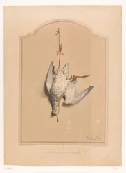Archibebe muerto colgando de una pierna Le chevalier aux pieds rouge (título sobre objeto) Museo del Cazador (título de la serie) Musée du chasseur (título de serie sobre objeto)